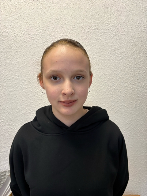 Огненный конь - символ 2026 года. Алексеева Ирина Евгеньевна